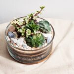 Aldgate Gardening Club – Succulent Terrariums Workshop