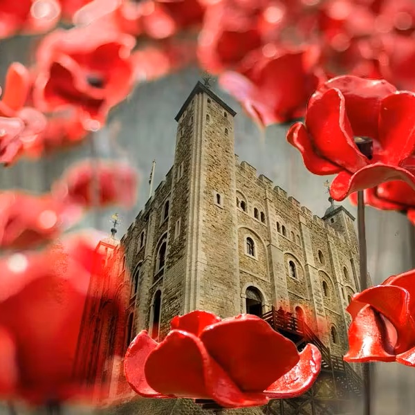 Ceramic poppies return to the Tower of London in new commemorative display