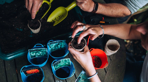 Aldgate Gardening Club: Growing Herbs