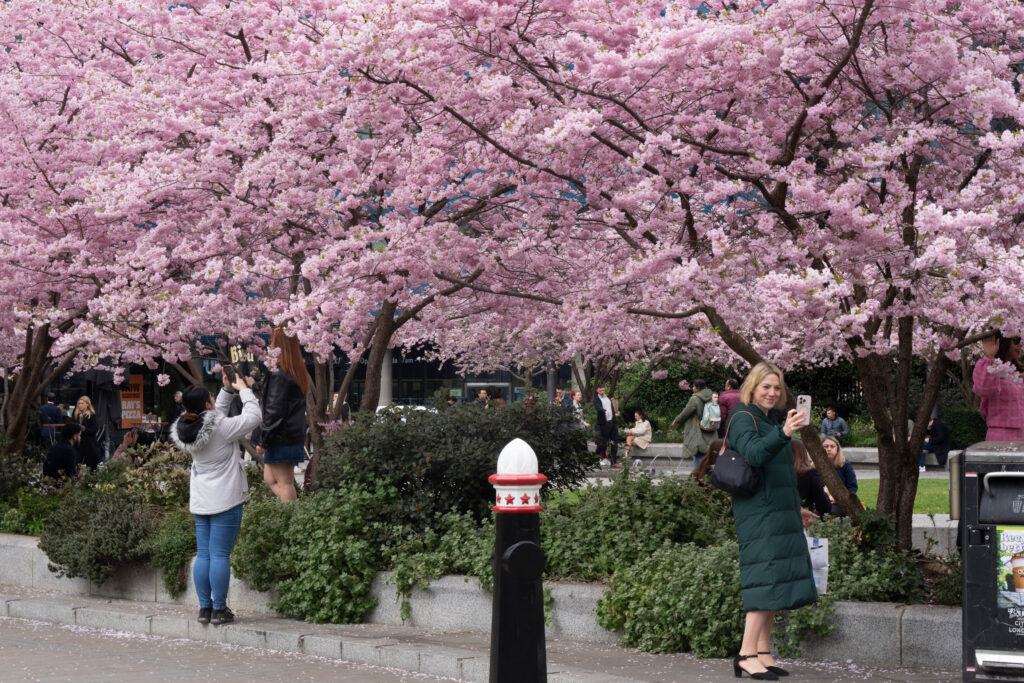 Aldgate Walking Tour: Smartphone Photography Workshop