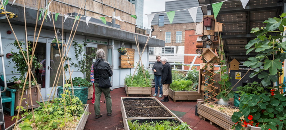Aldgate Gardening Club: Rooftop Gardening with Providence Row